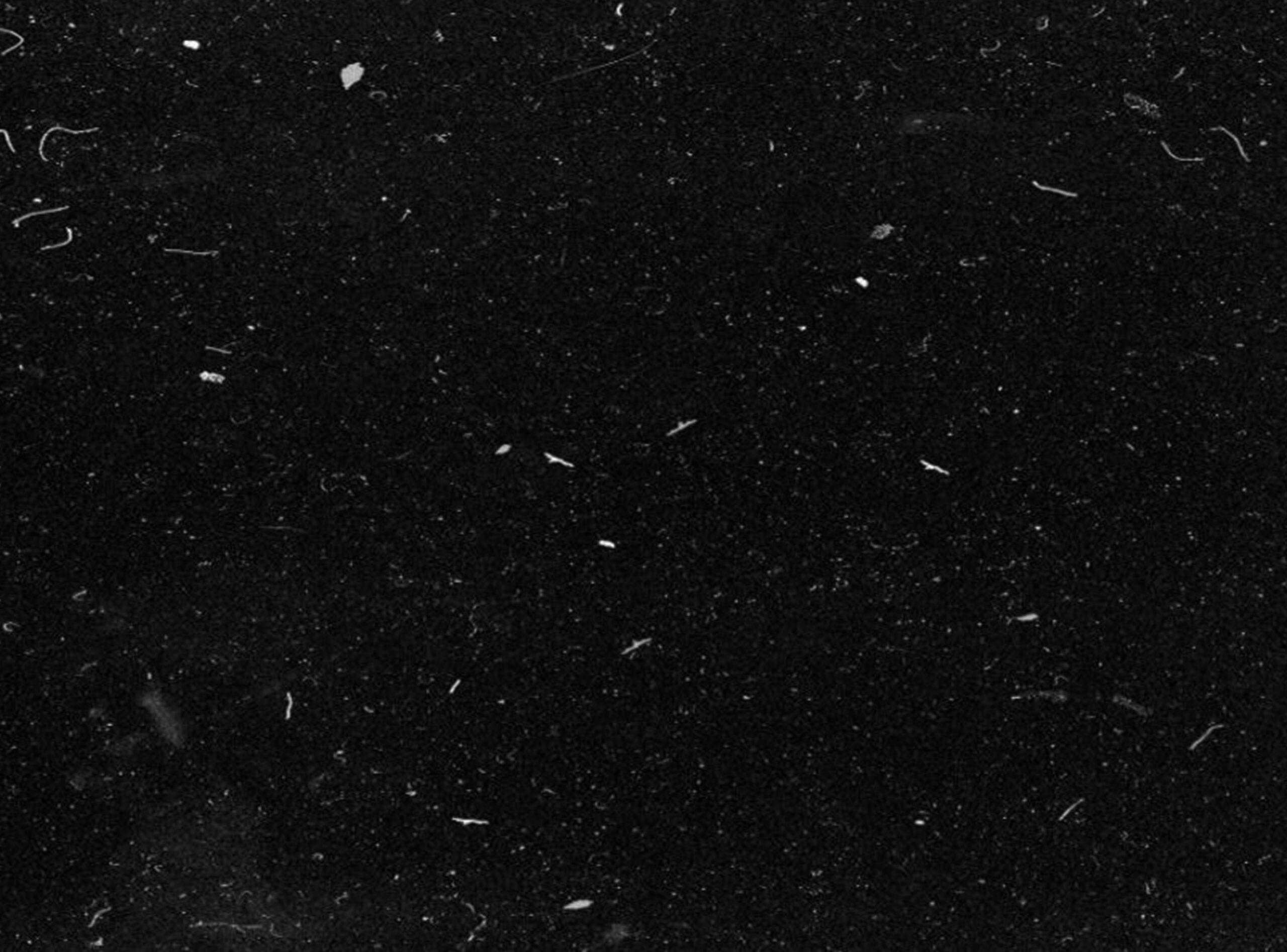 BANNER PARTE INFERIOR-5