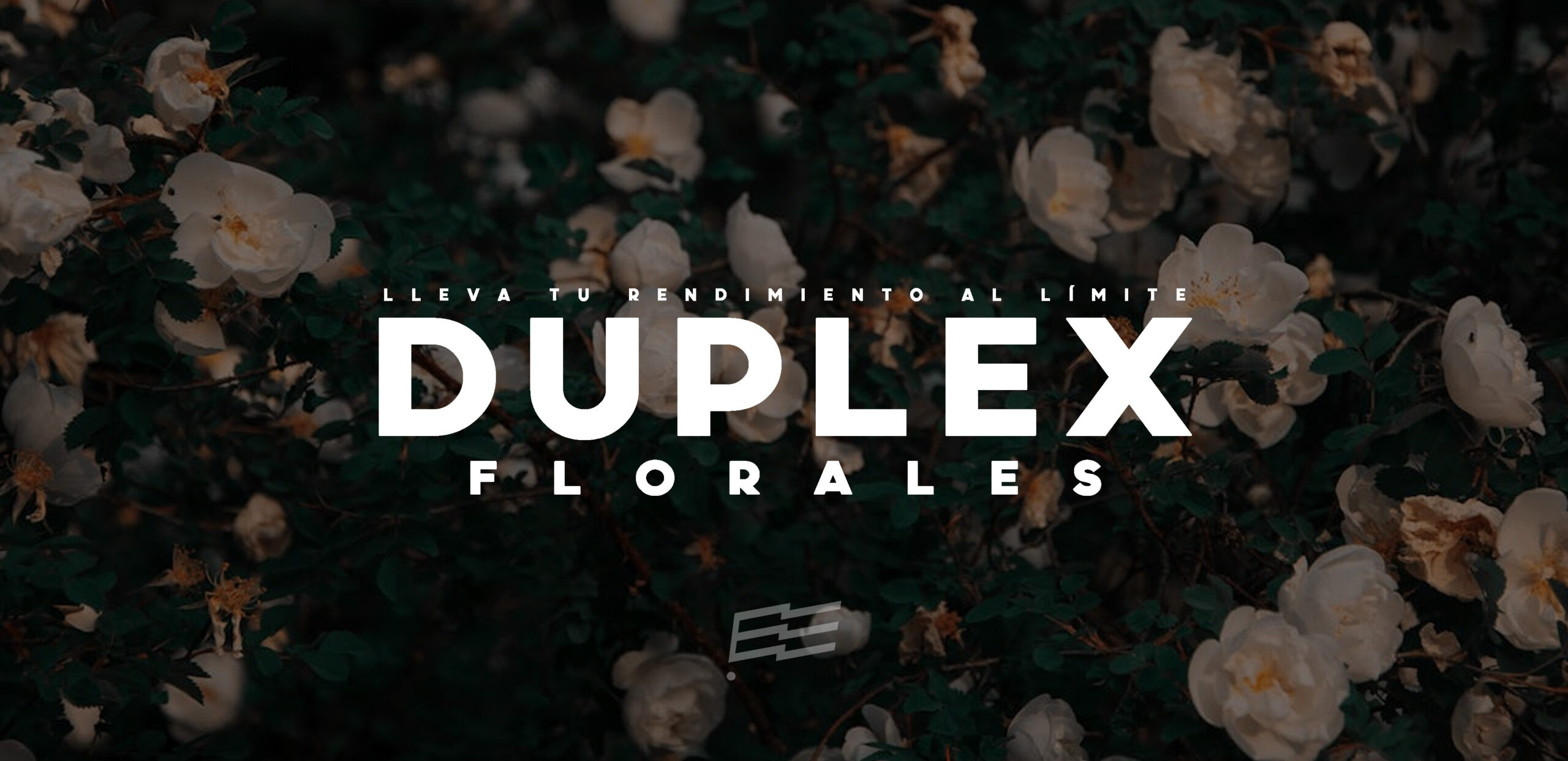 BANNER FLORALE 2025